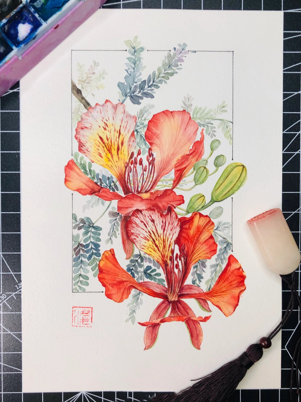 水彩 . 凤凰花 . 手绘 花红叶绿,一团团一簇簇, 凤凰重生是涅槃.