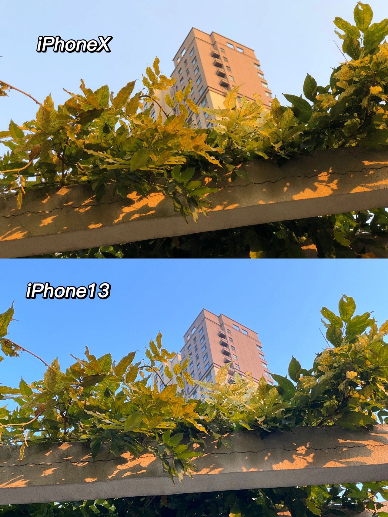 iphonex和iphone13