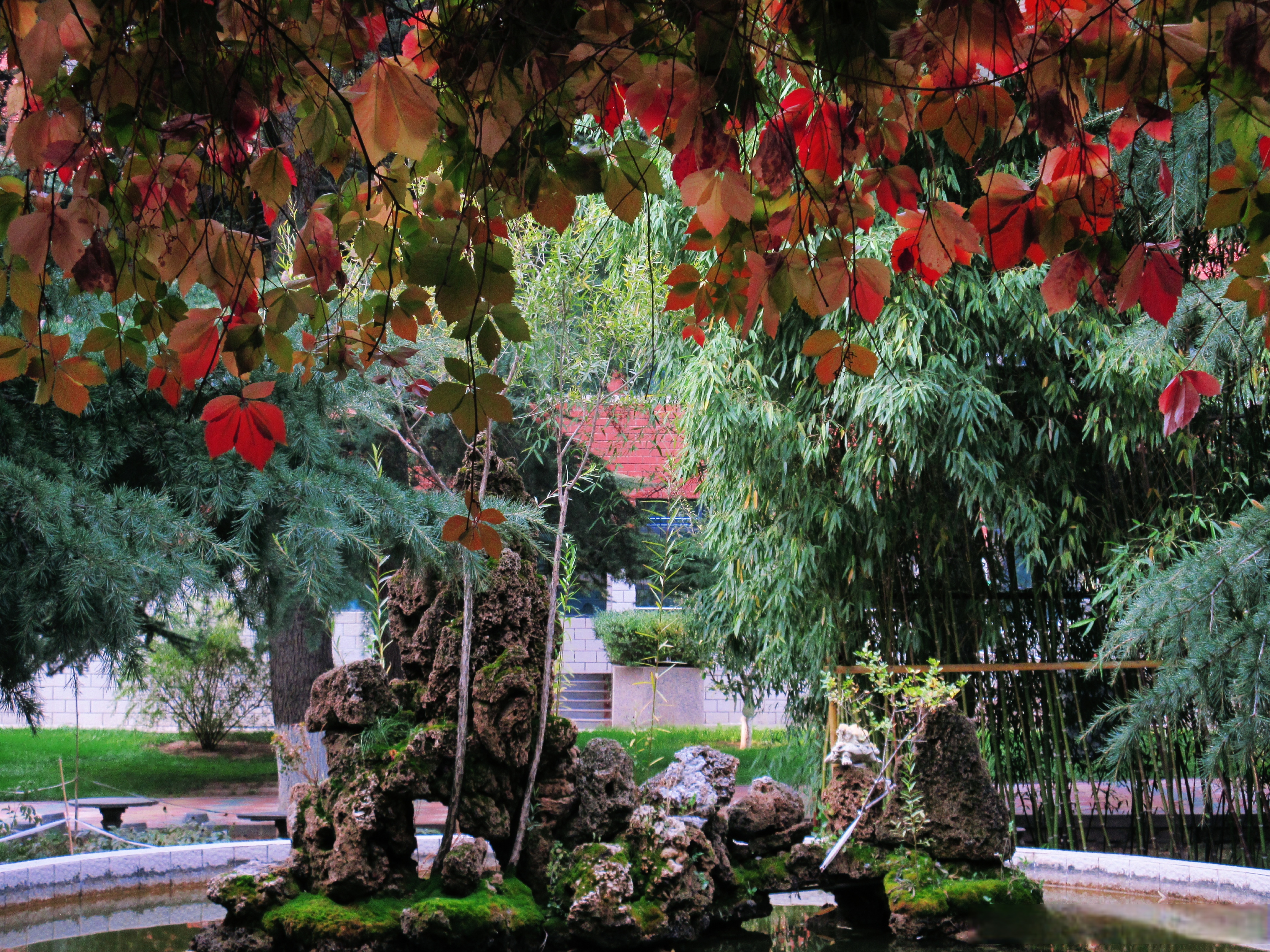 人的一生一定要有一段让你回想起来热泪盈眶的日子.早安,西师附中