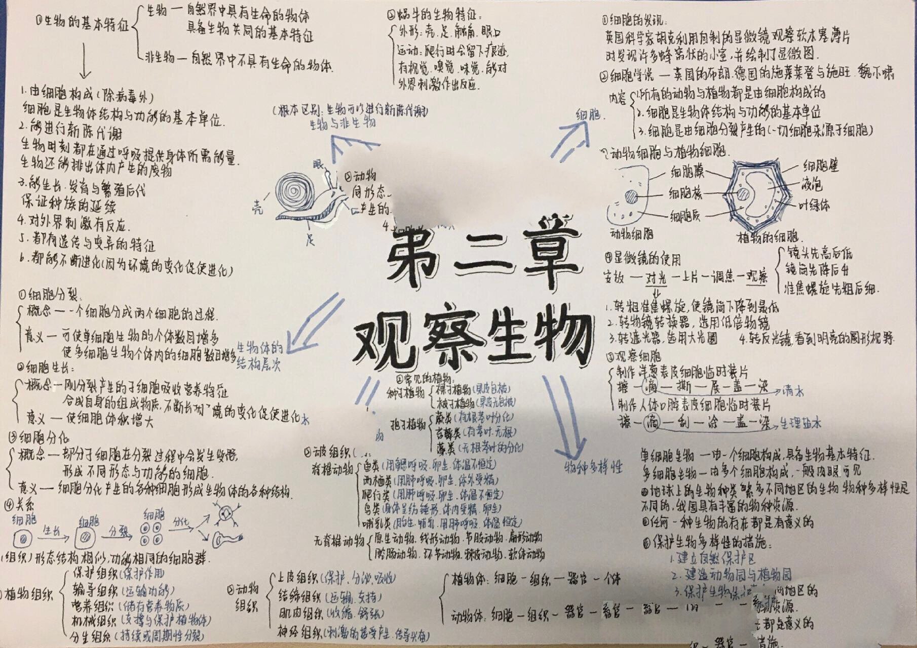 初中科学知识点框架图图片