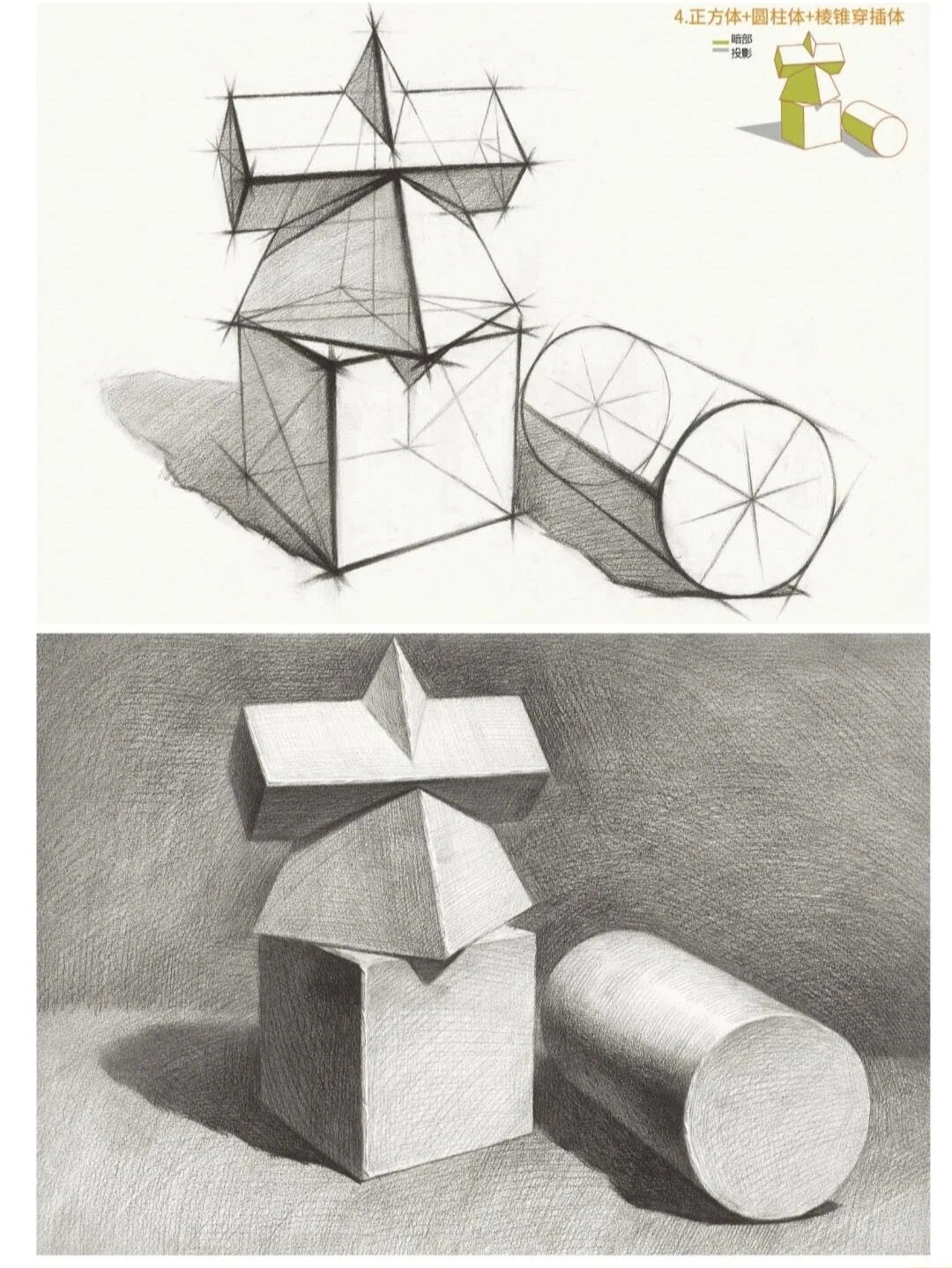 初学者素描静物