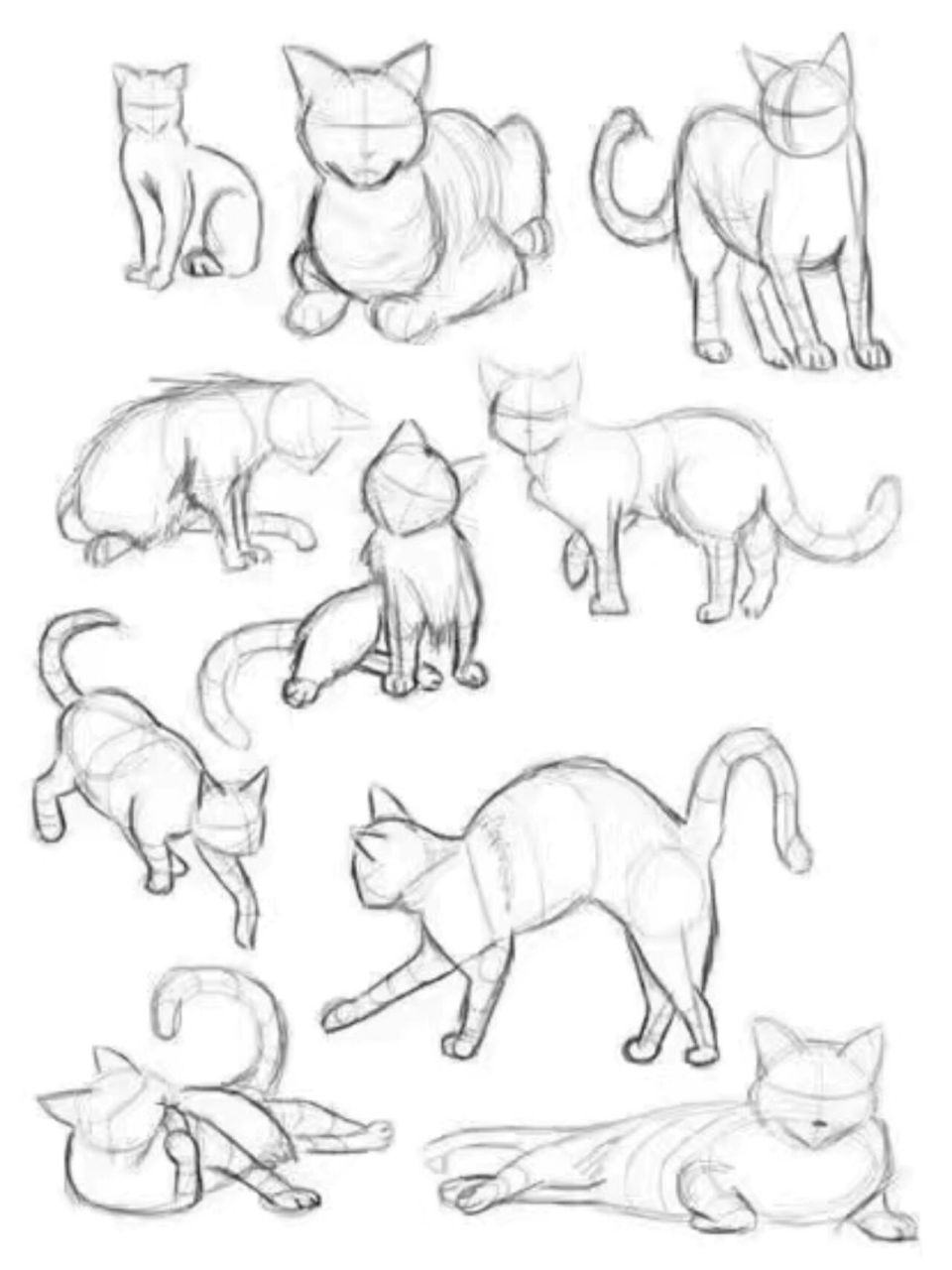 97绘画参考96猫咪动作线稿图超可爱～ 分享一组猫咪不同动作线稿
