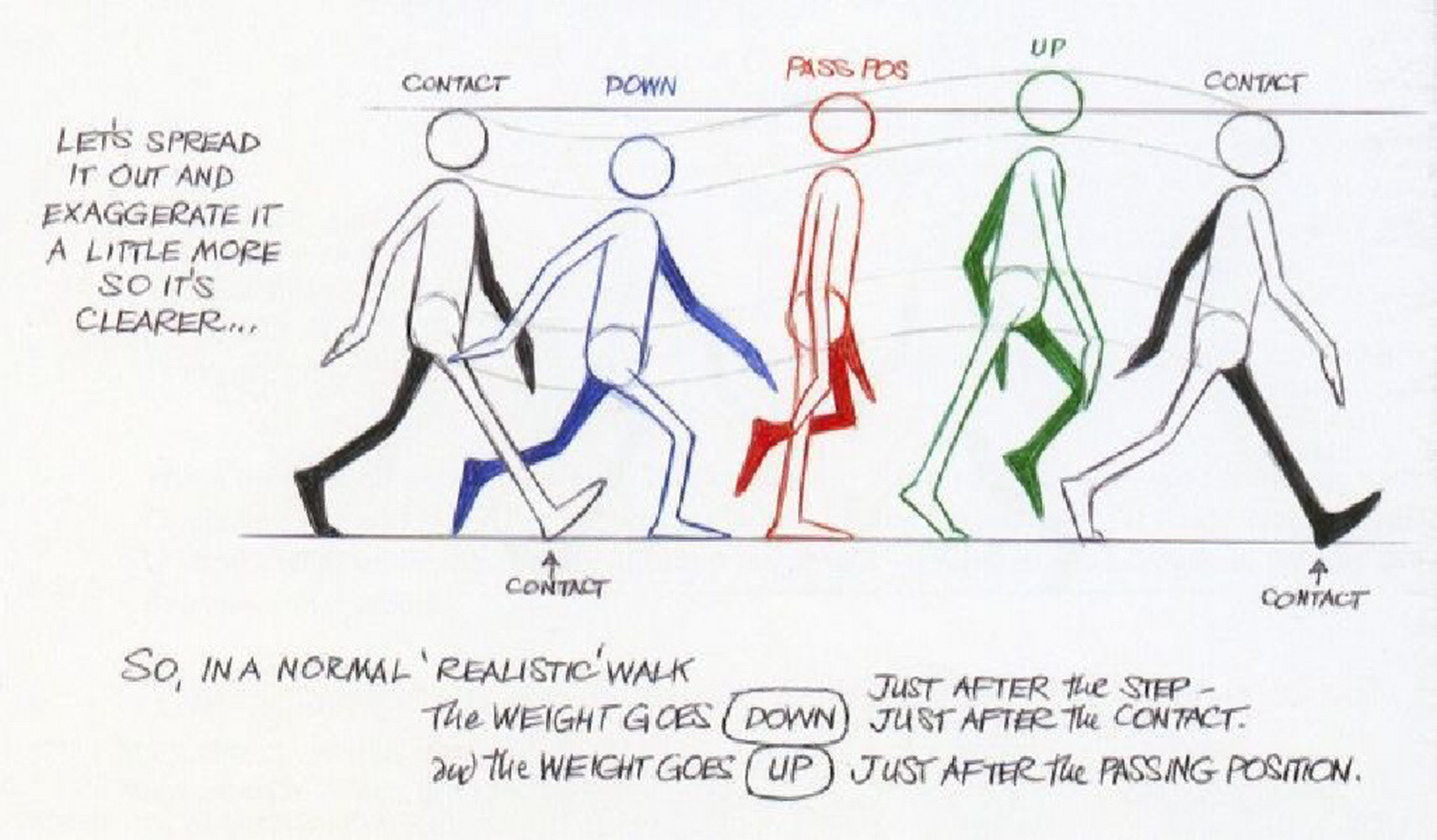 人体走路运动规律图图片