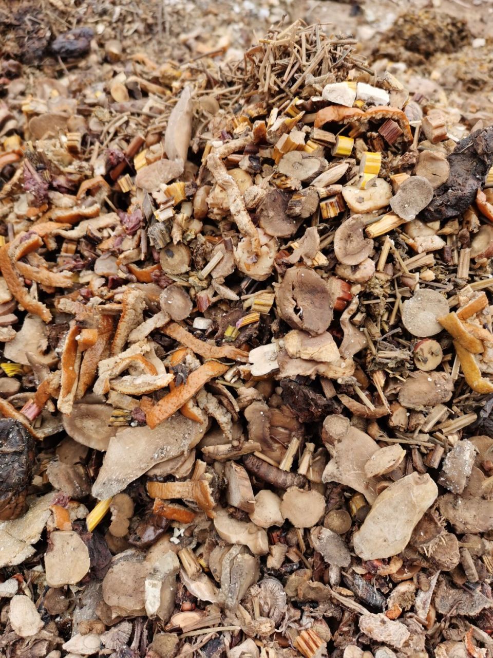 中药渣沤肥造土有多香 还有僵蚕和蝉蜕可以喂鸡.