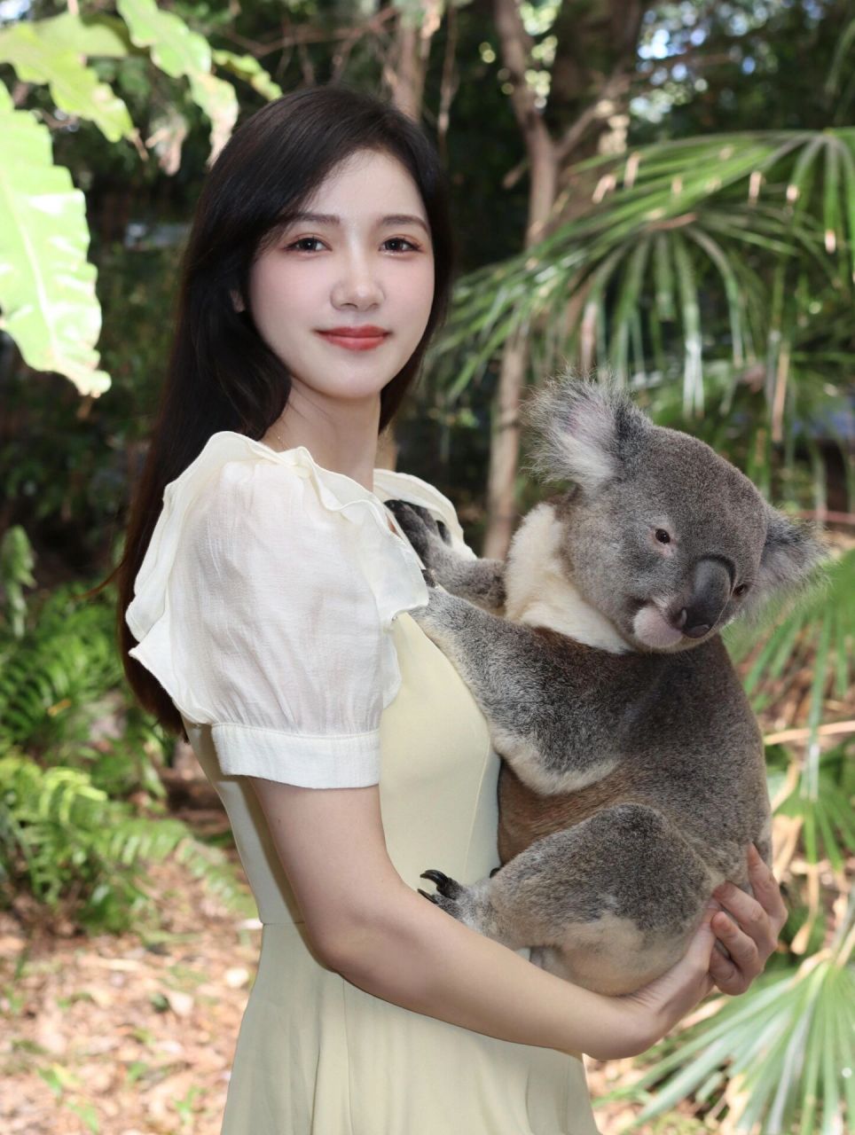 一组动图告诉你抱考拉是什么感觉😂 今天去龙柏动物园抱考拉了哟,超