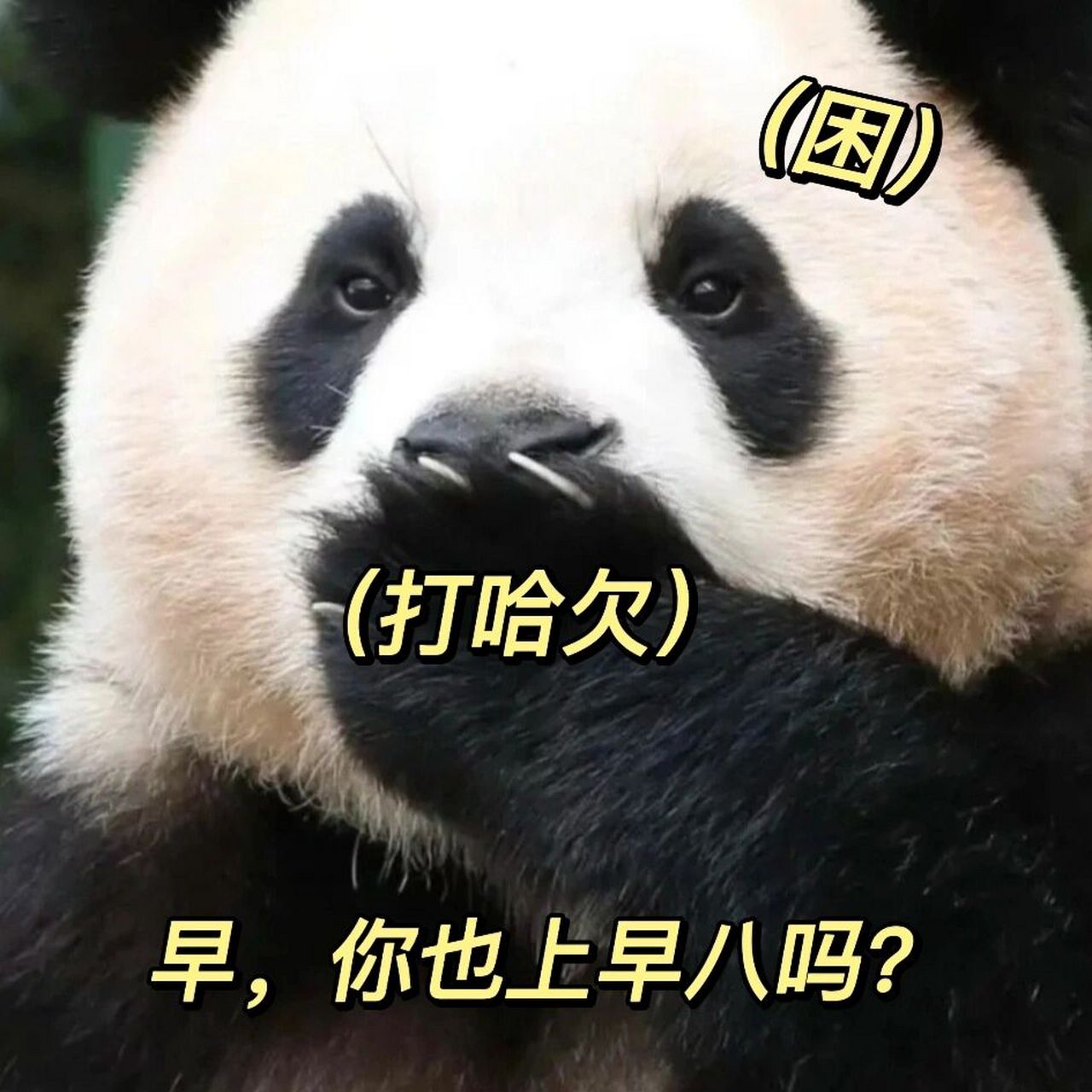 小福宝的可爱表情包119494 世界上有三种宝,充电宝,易热宝,还有