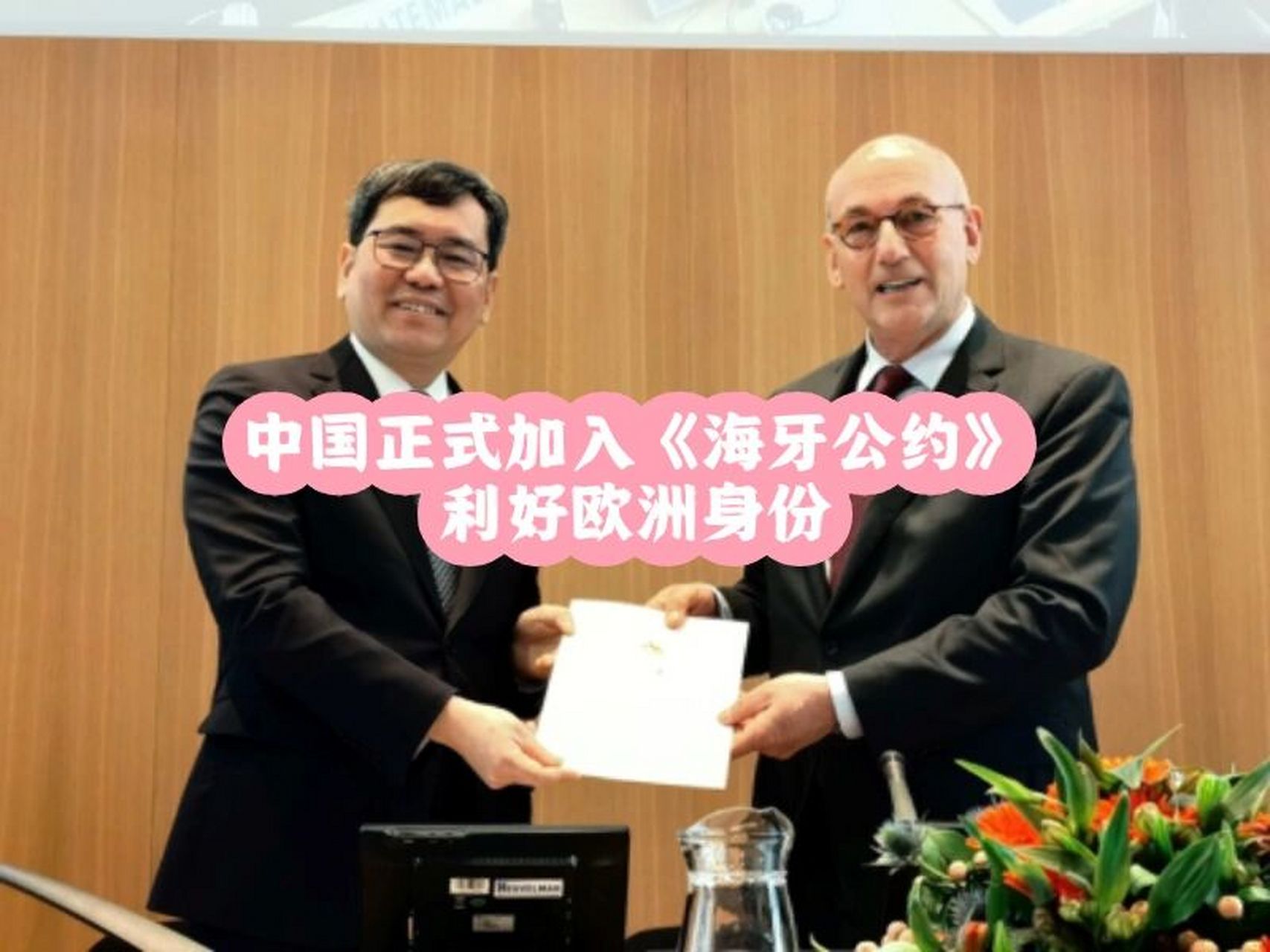 《海牙公约》,利好欧洲身份 【背景】 3月8日,中国驻荷兰大使谈践代表