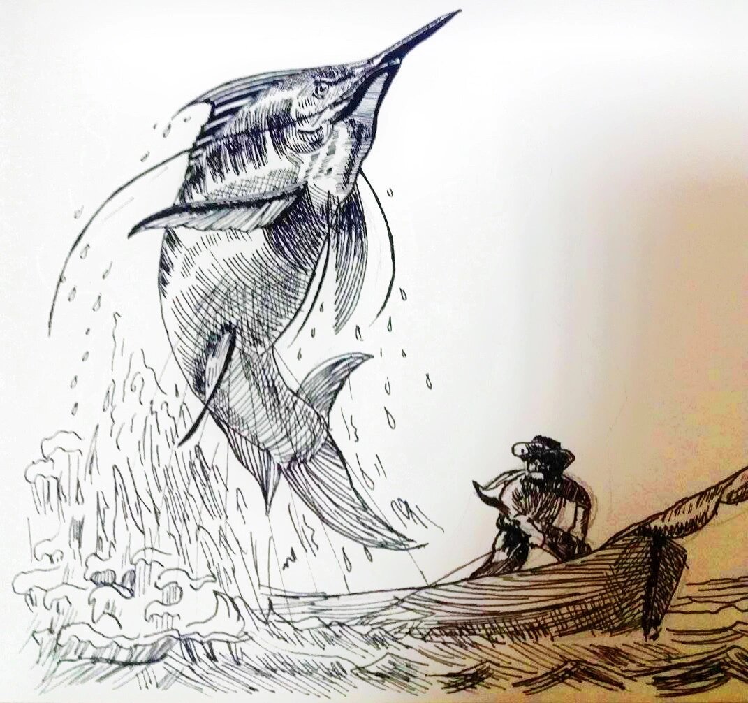 自学画画 《老人与海》 笔:普通水笔 纸:康颂速写本