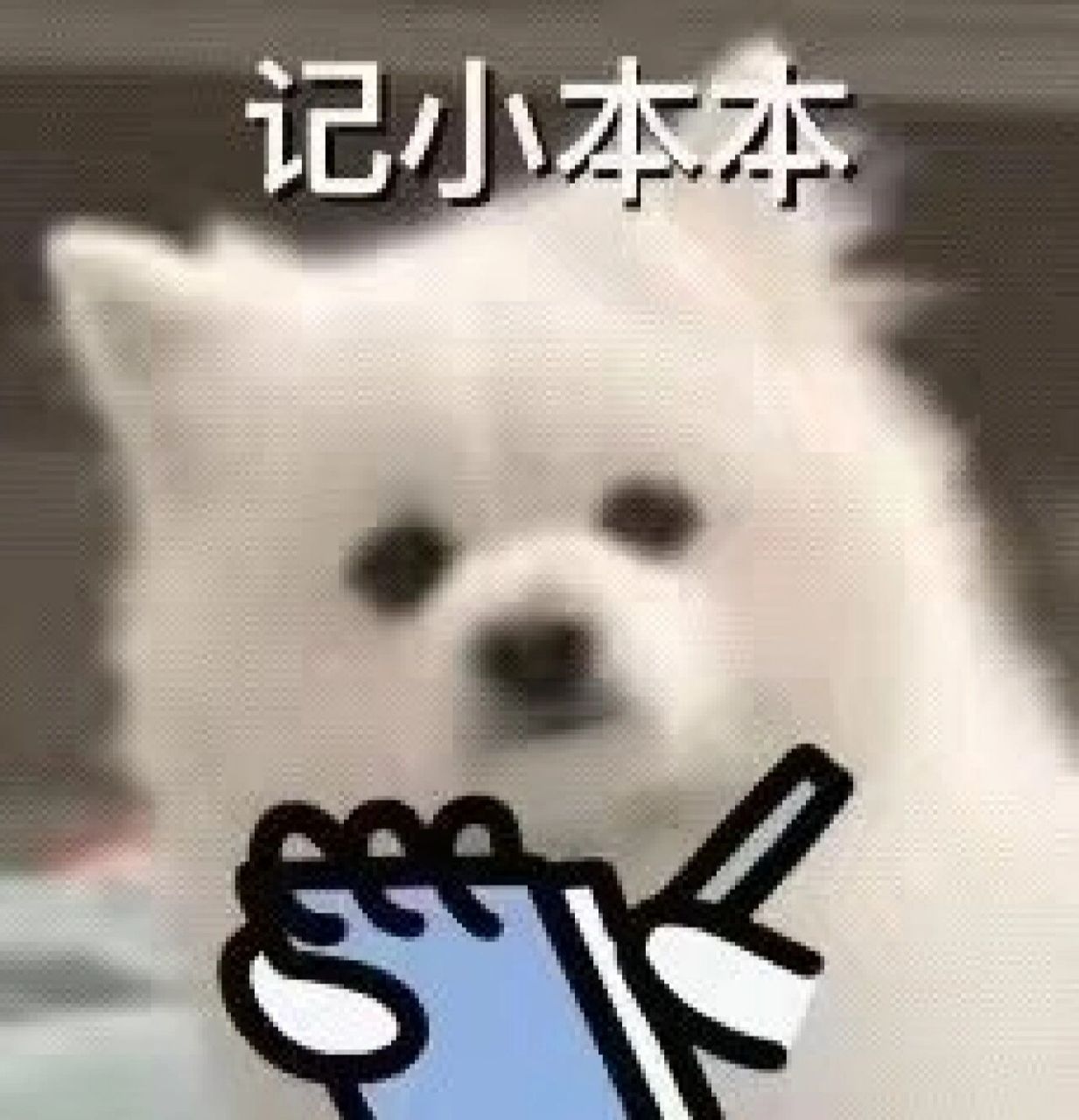 记小本本‖可爱狗狗表情包