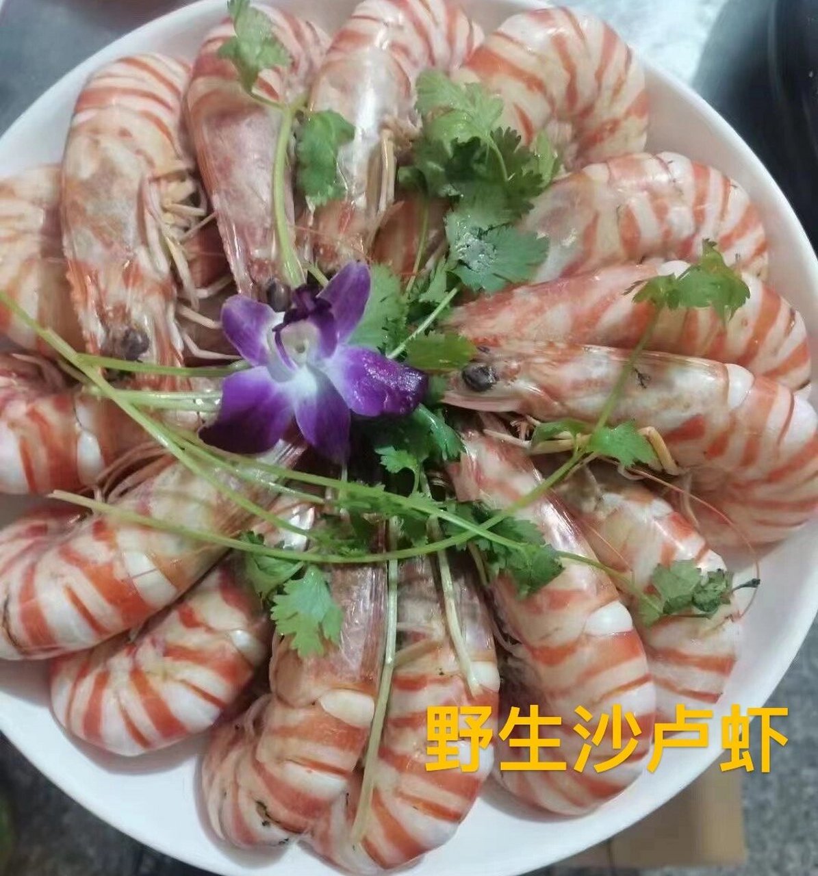 很多人都不认识这款珍贵的野生大虾 1-6图野生白刺虾 7-9图野生沙卢虾