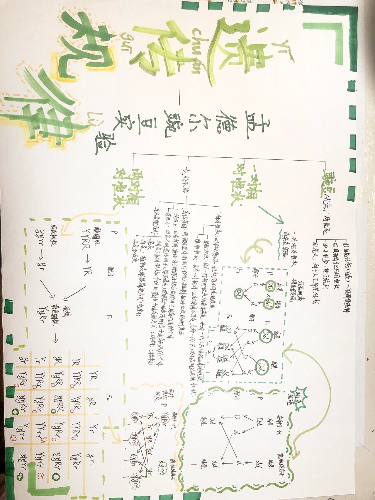 高一生物遗传规律思维导图@旋律倾听者的动态