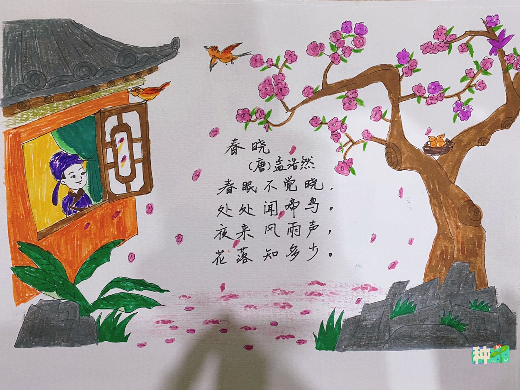 古诗配画《春晓》 幼儿园第二次播报,blue选择了《春晓》,安排!