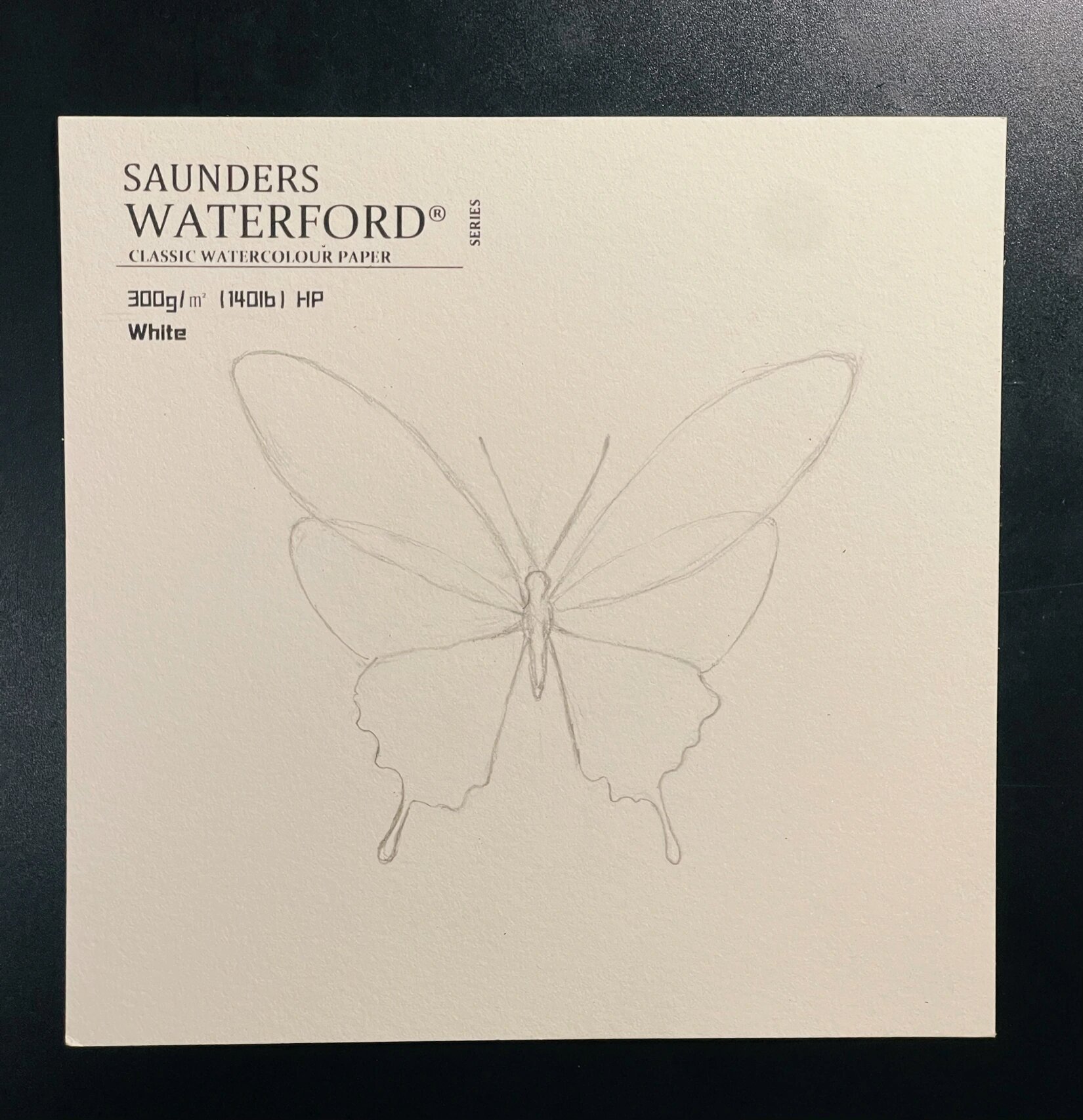 跟着博主学画画|蝴蝶03