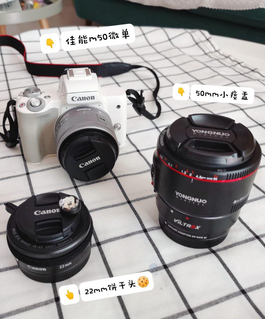 佳能m50微单 50mm小痰盂和22mm小饼干的对比 哈喽大家好,昨天期待已久
