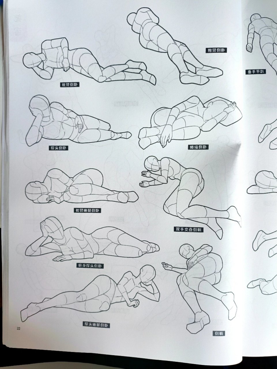 人体结构5——躺姿篇