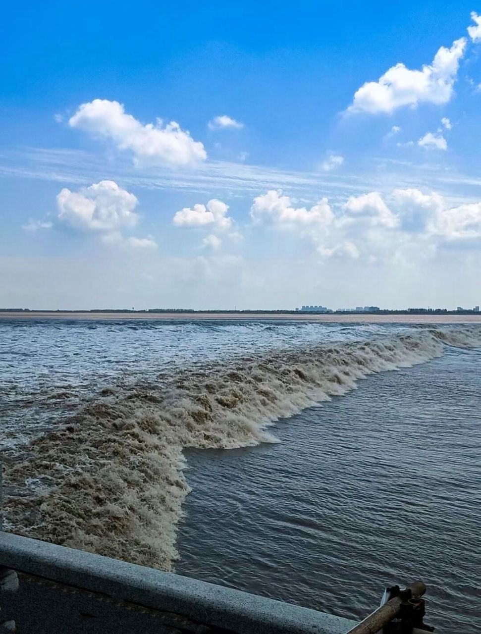 "八月十八潮,壮观天下无"|钱塘江大潮75  99盐官观潮景区,一日游