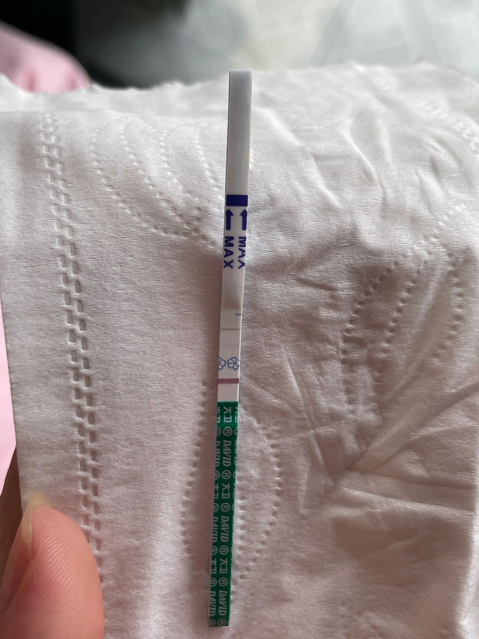 鲜胚移植后的第八天测出意念灰 移植完,才是煎熬的开始,每天套症状,啥