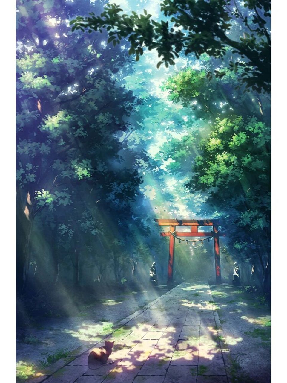 清晨林间小路清新壁纸背景桌面美图