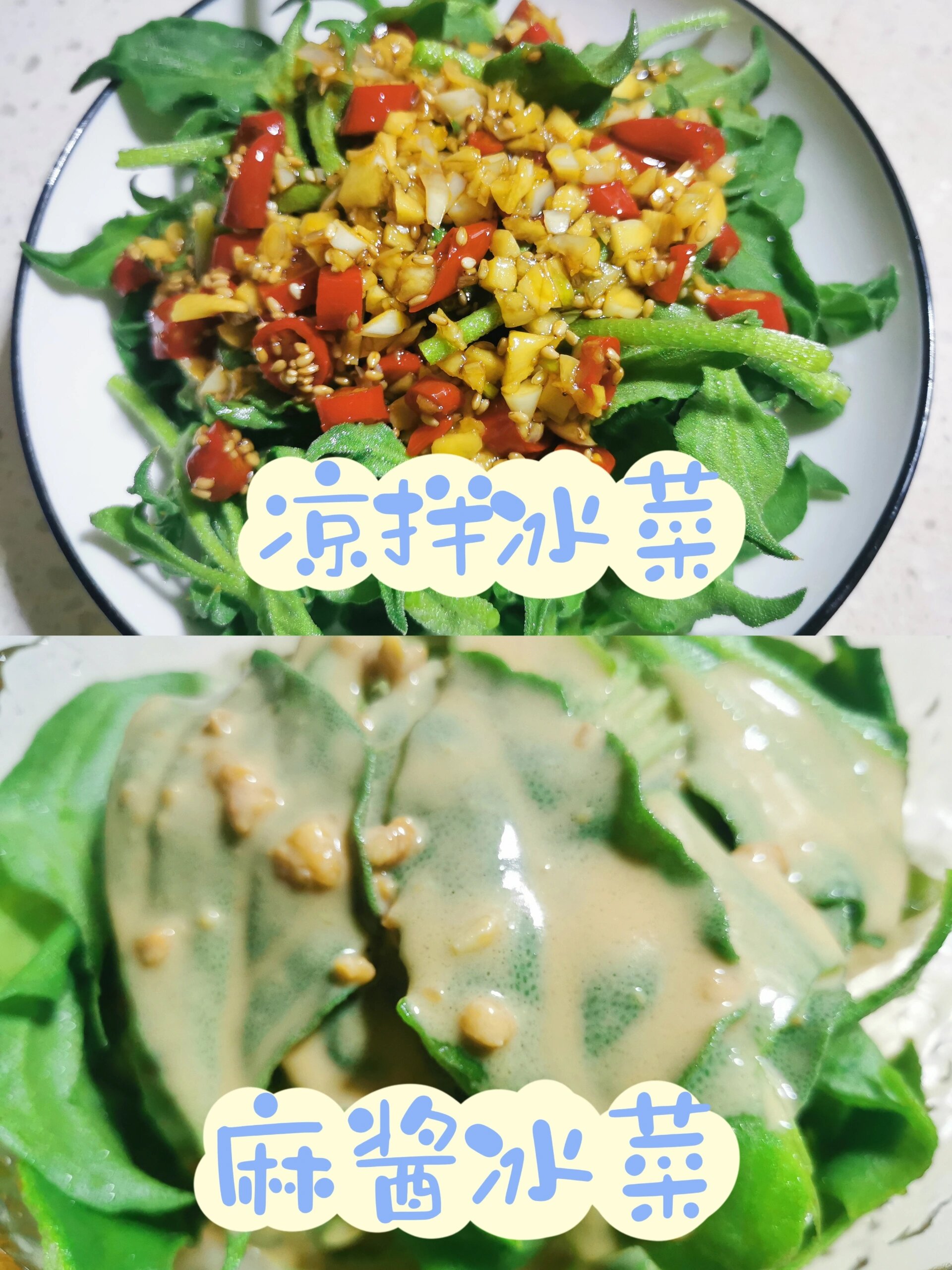 冰菜采摘了,做了凉拌冰菜和麻酱冰菜