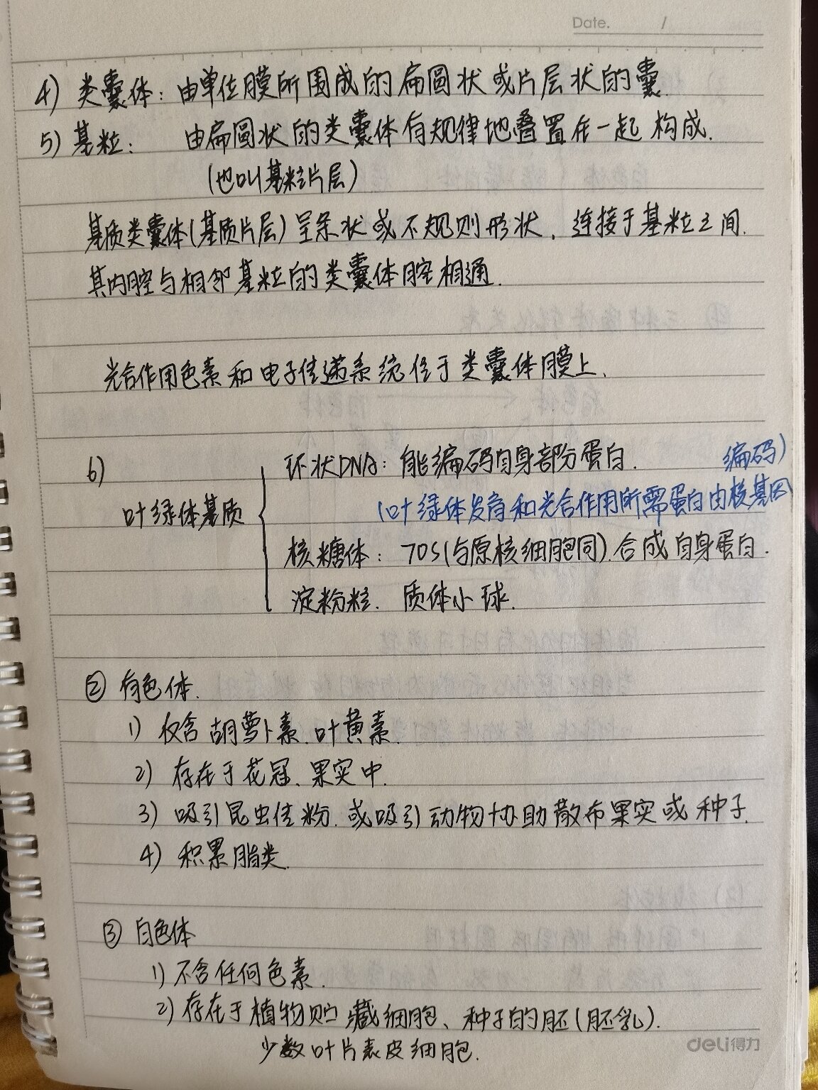 植物学笔记(7)