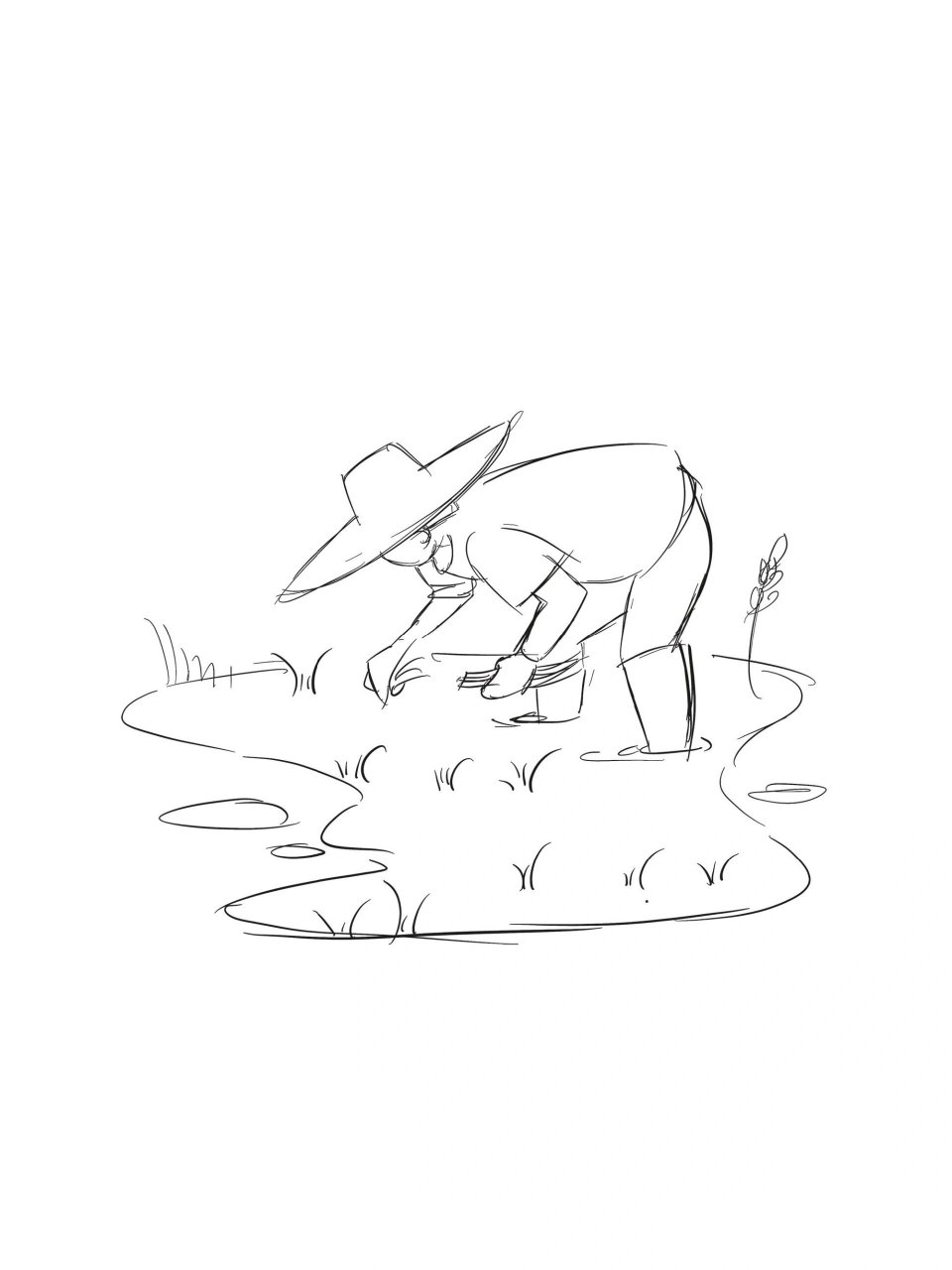 农民伯伯插秧插画分享 劳动人民劳作插画分享