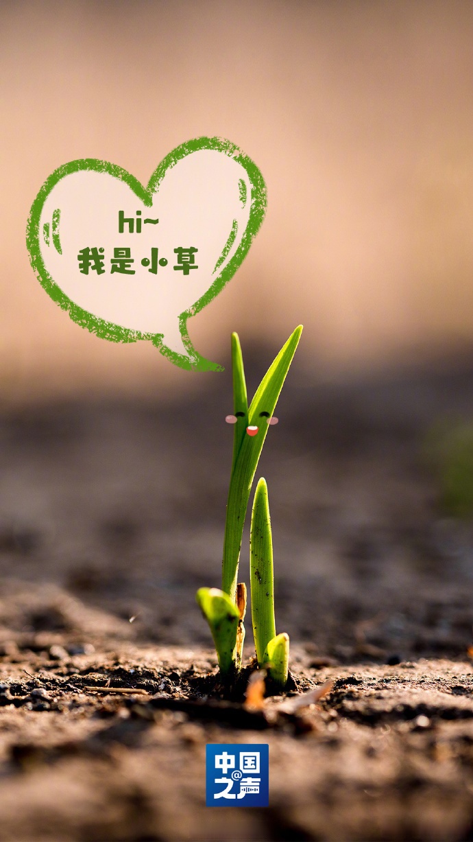 ""难道是我做错了?