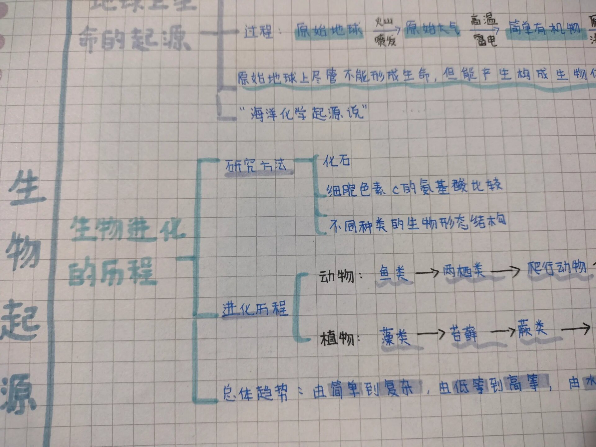 八下生物思维导图第三章