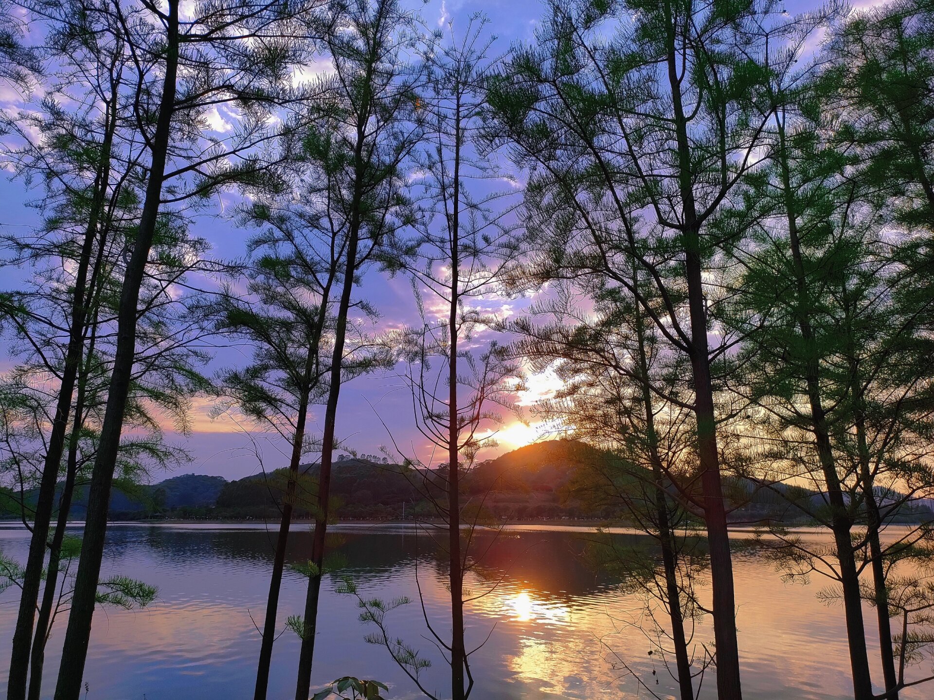 广州拍照|增城荔湖公园拍照圣地