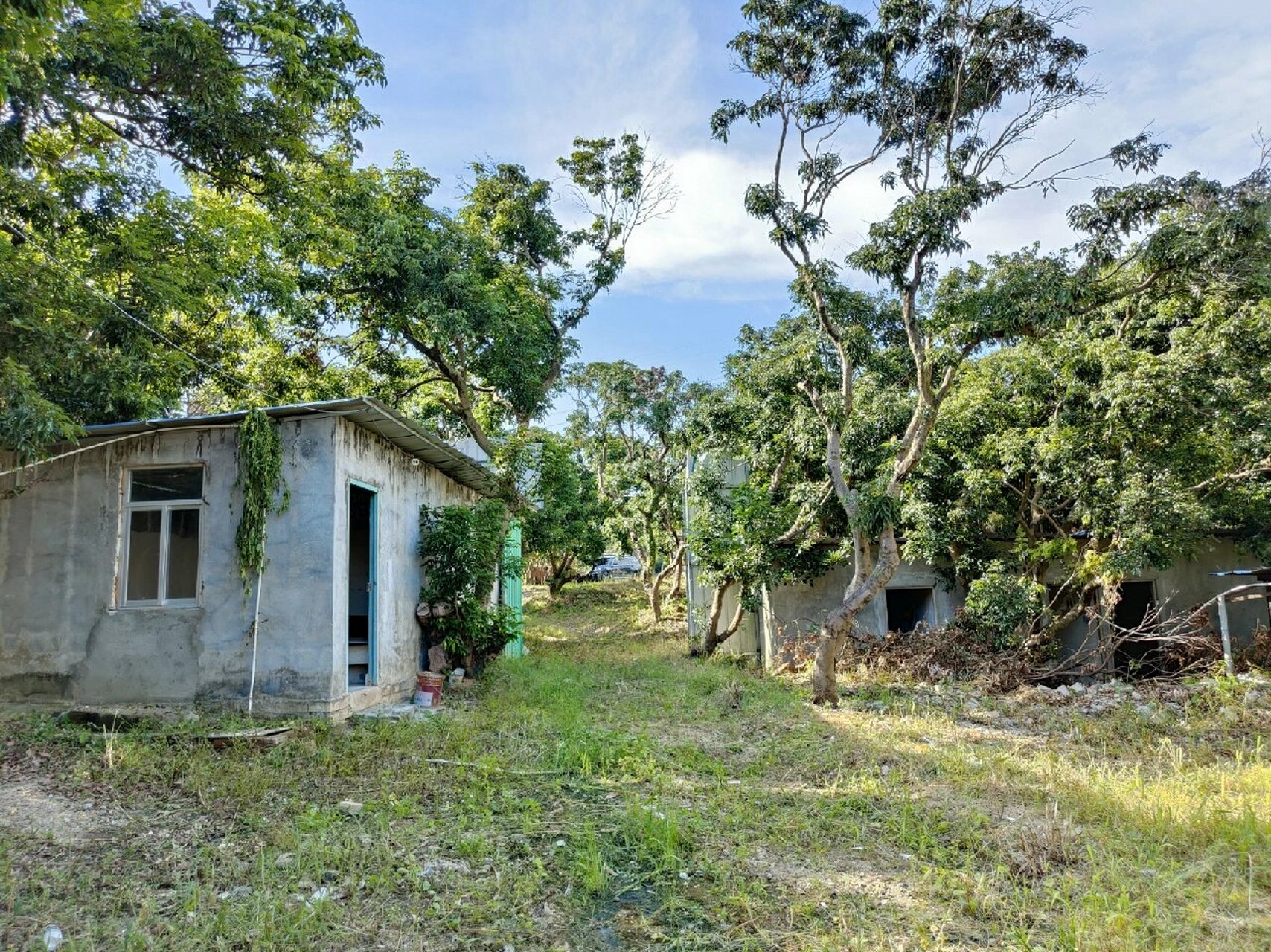 西丽农庄出售独门独院约3500平单价仅2800元 西丽农庄出售!