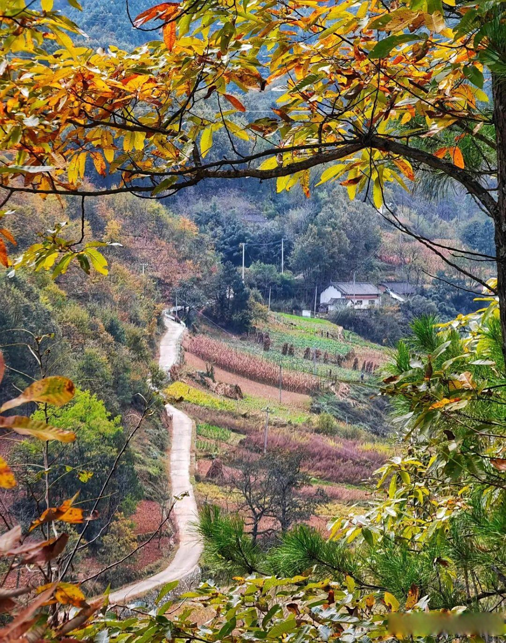 感谢好心人关注我们山区发展,尤其是山区的农村发展.