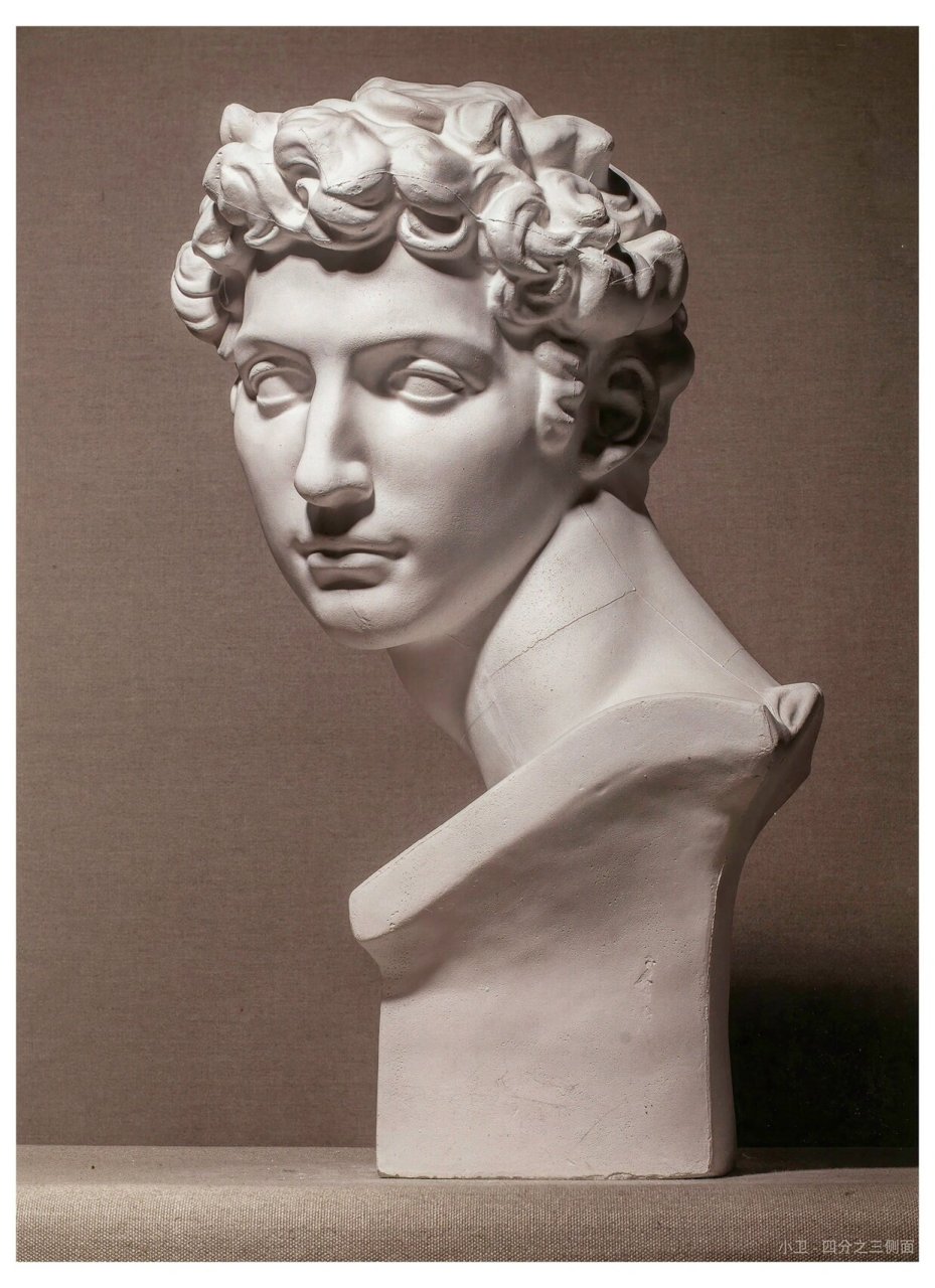 "小卫"朱利亚诺·美第奇石膏像 小卫各个角度石膏像 素描必画