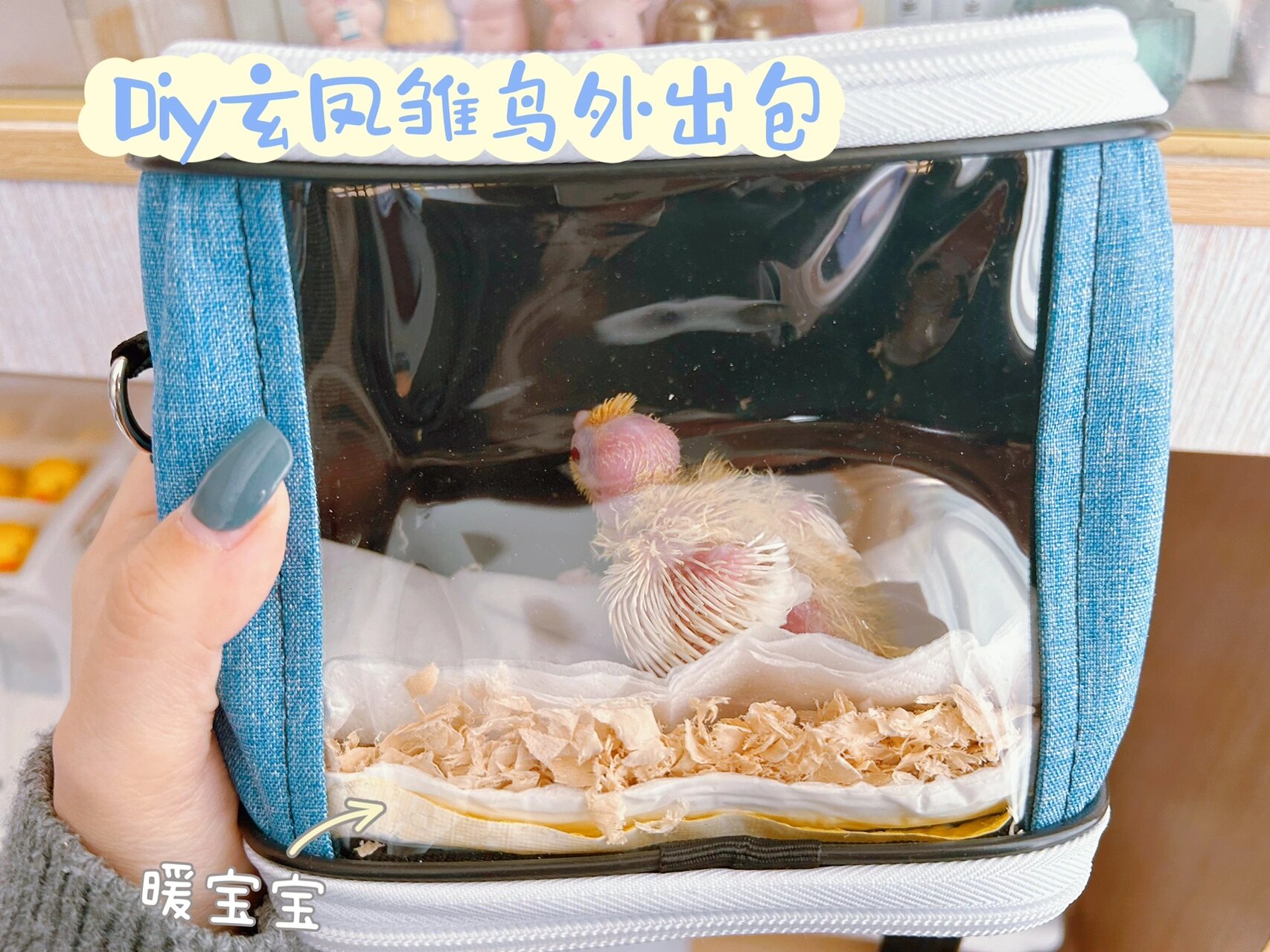 玄凤雏鸟外出保温箱子和diy家用保温箱
