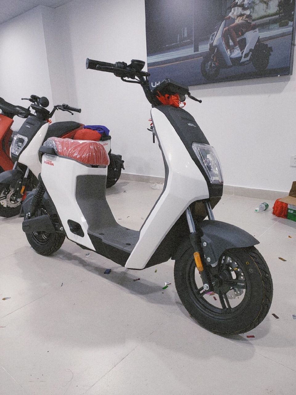 五羊本田新国标电动车!ube!