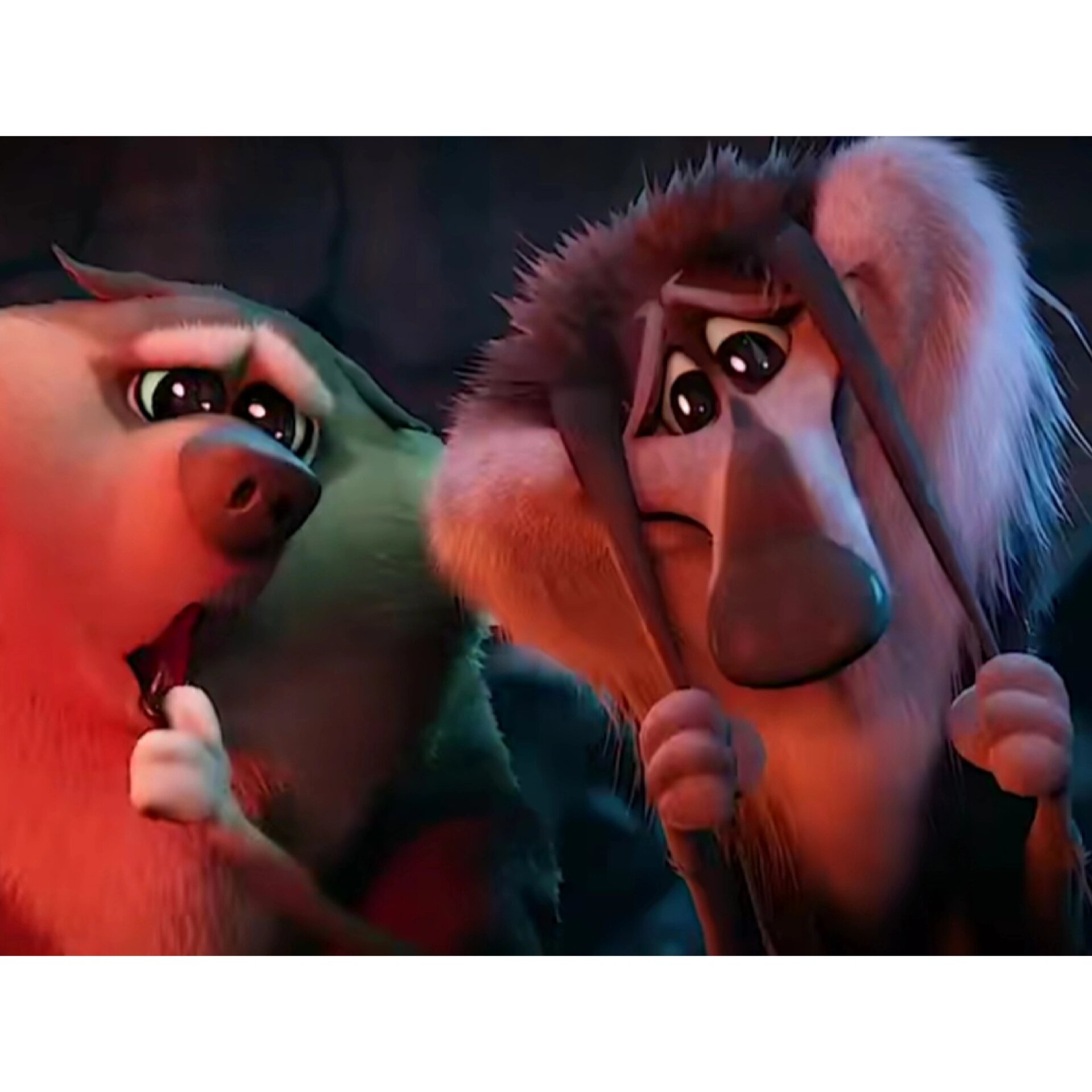 星星眼狼表情包 来自电影 《逗鸟外传》