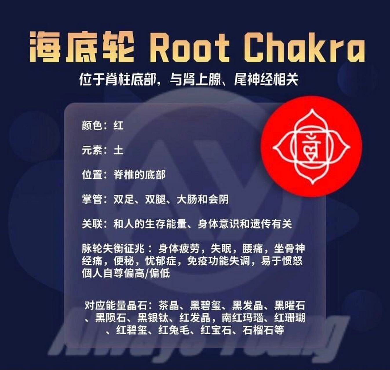 9个不用花钱就能激活海底轮的方法7815 日常动作中的海底轮接地