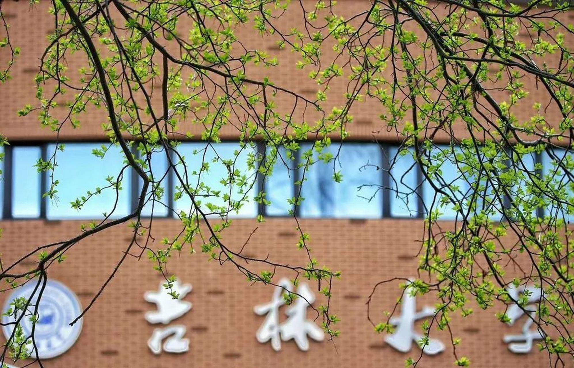 2023年吉林大学【护理学院】考研详解 2023年吉林大学【护理学院】