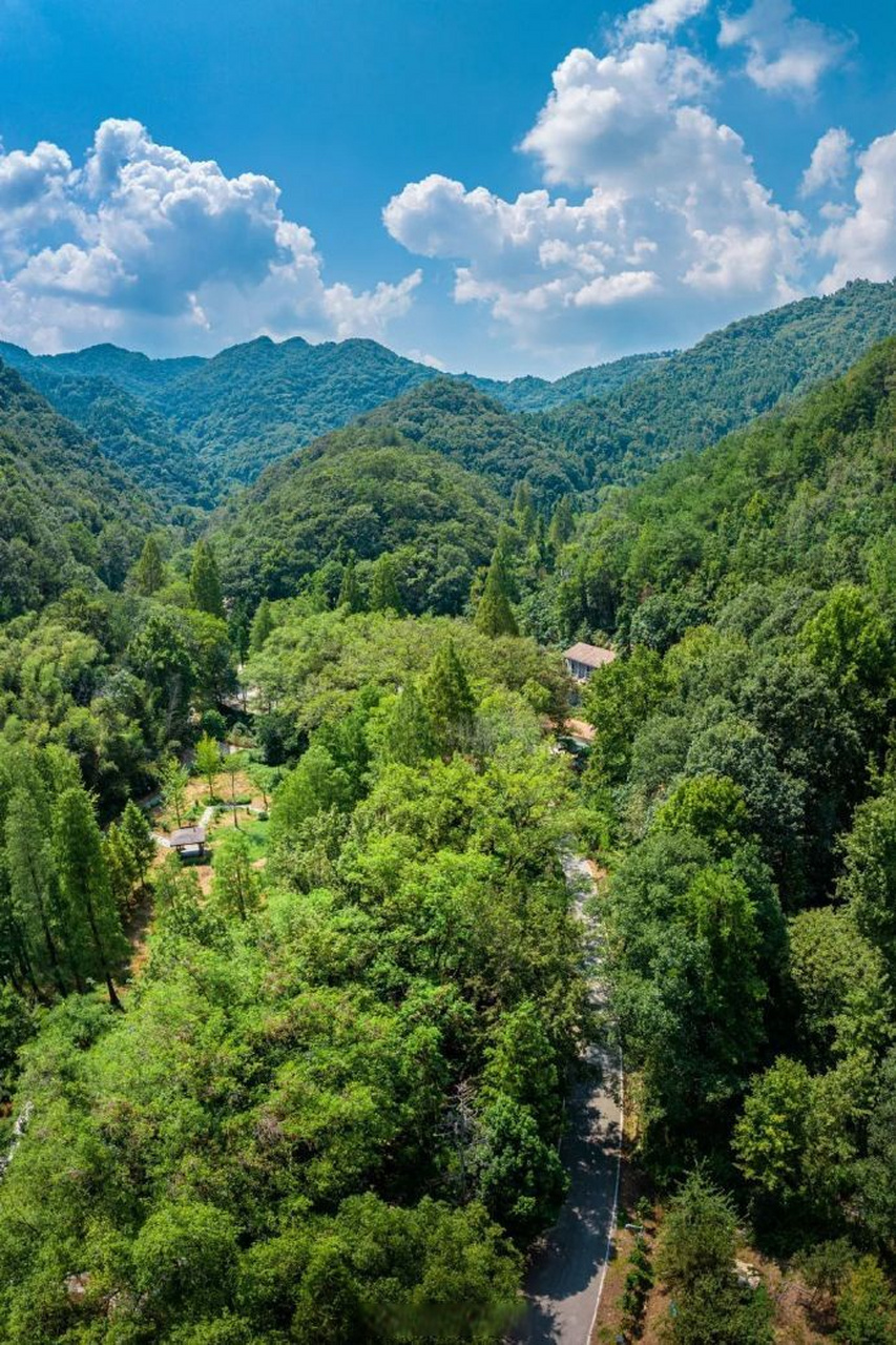 大美黄陂go好玩#【黄陂2处划上"省重点"!