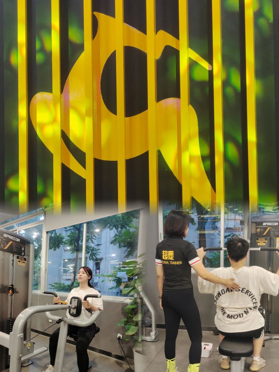 911569♀15超鹿运动,尊享私教训练9115 嘿,亲爱的小伙伴