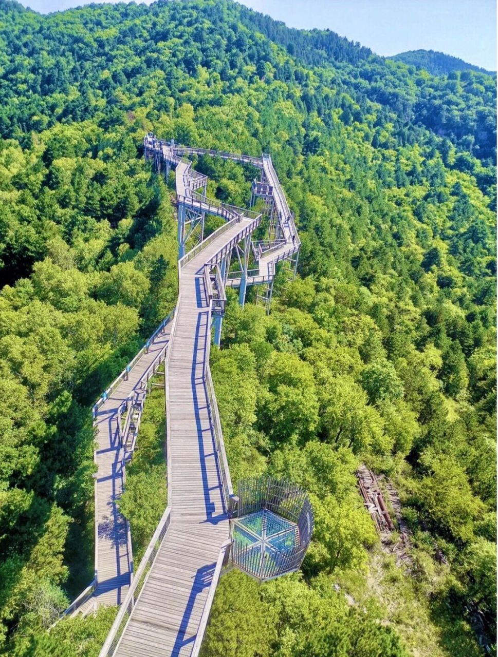 延安黄龙树顶漫步 | 住小众民宿,遛娃避暑 延安黄龙树顶漫步|住小众