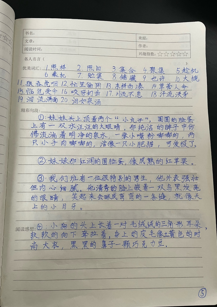 三年级摘抄格式图片