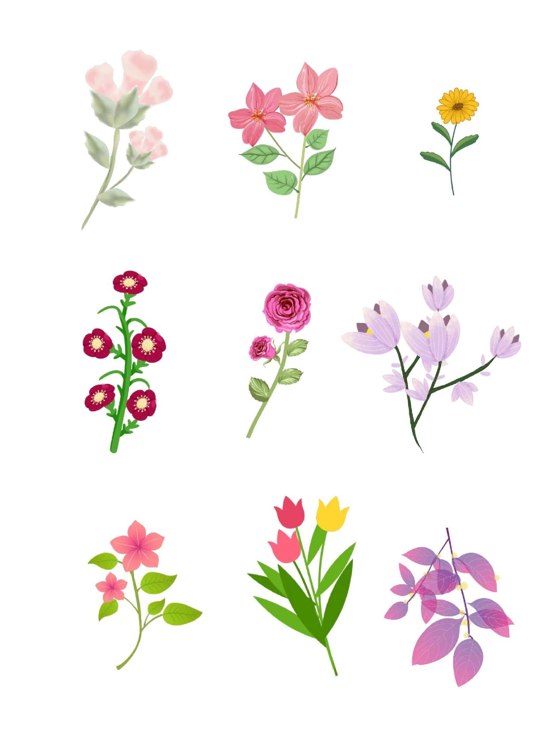 手绘花朵植物小装饰免扣素材 今日分享一组小清新的手绘花朵免扣素材