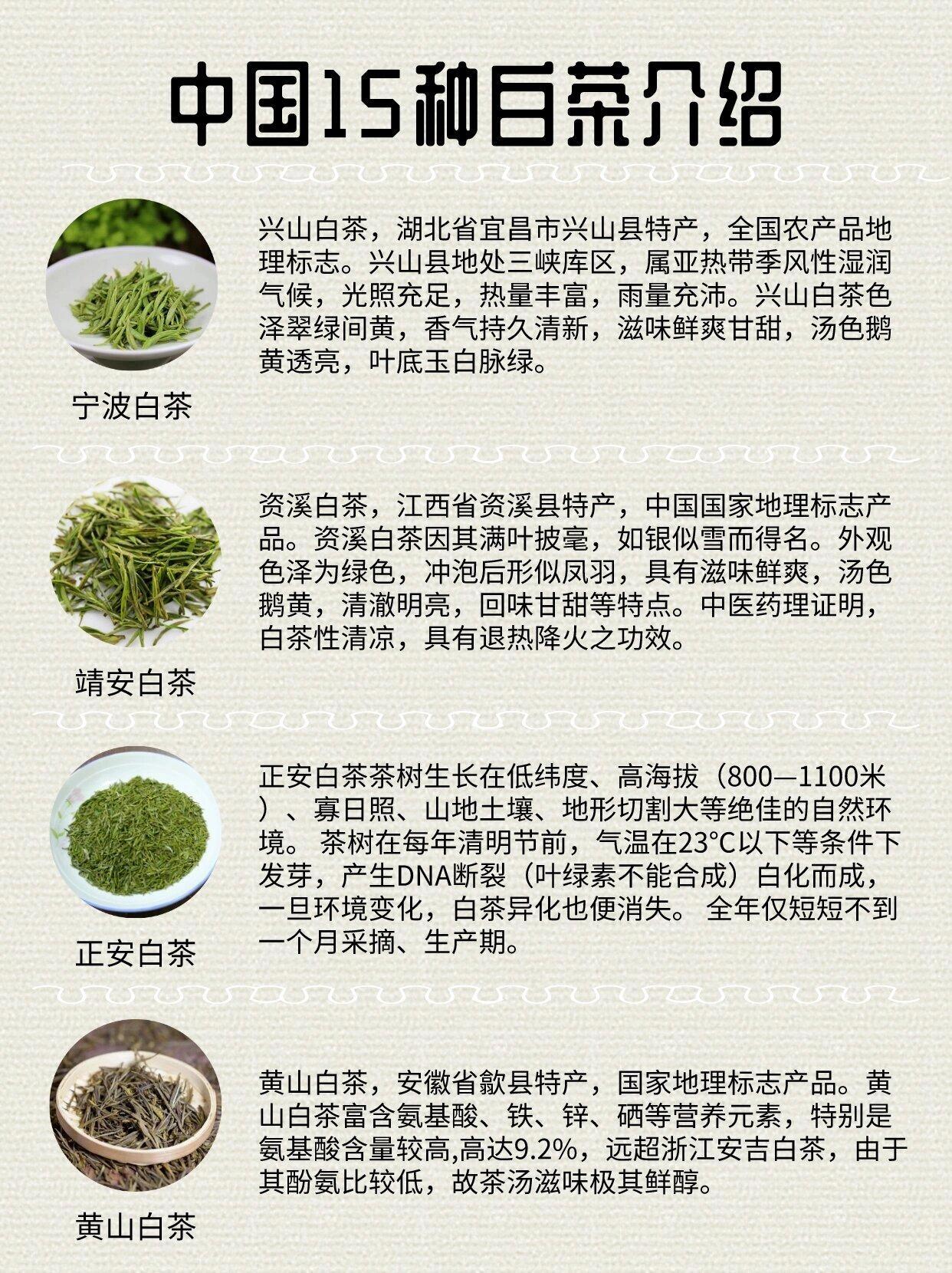 江西铜鼓有机白茶价位图片