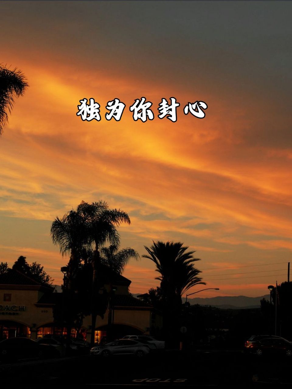 独为你封心 💔 2. 唯一的结界 🌟 3. 心动仅你可见 💖 4.