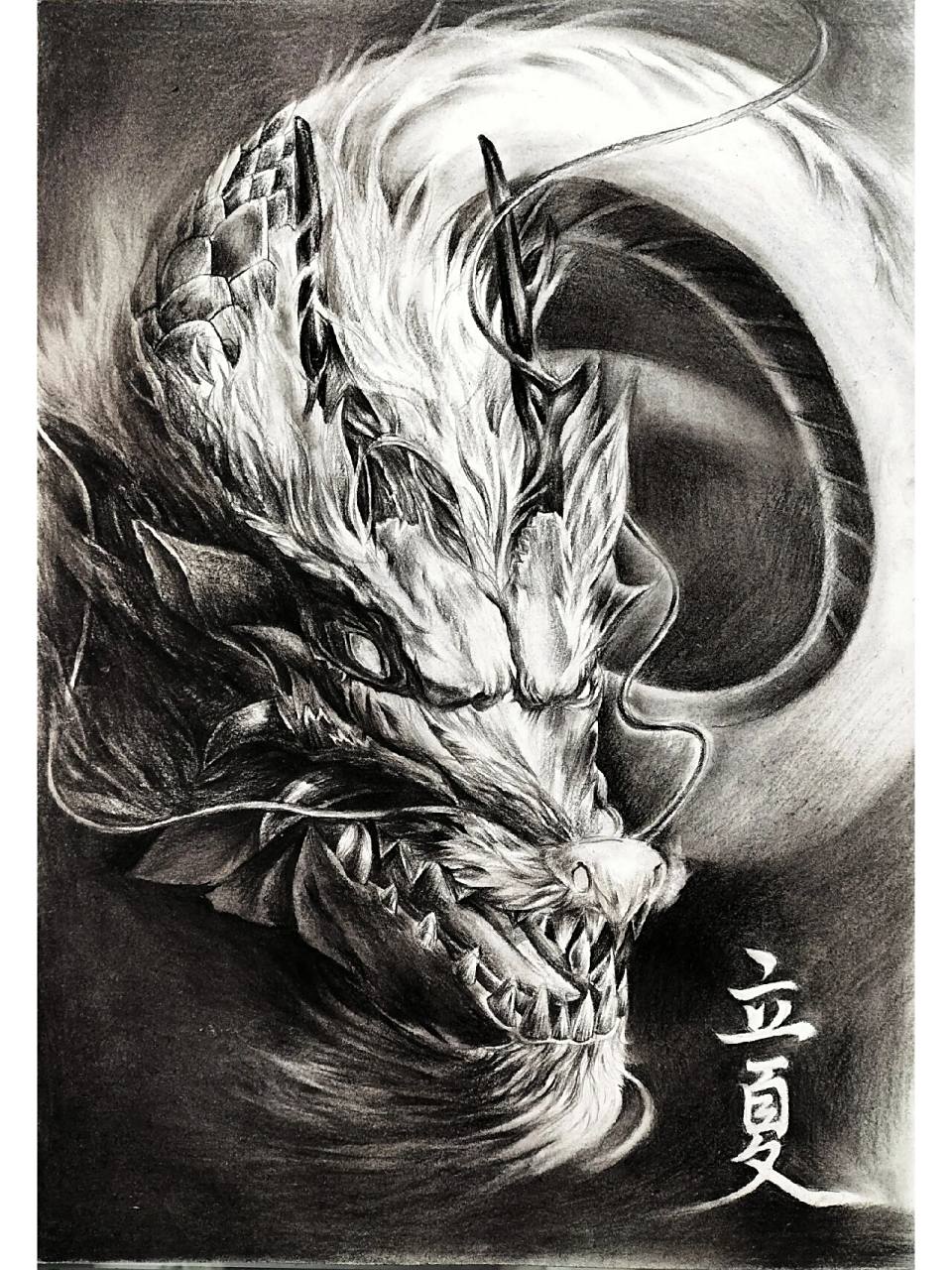 十二生肖之——龙 炭笔素描