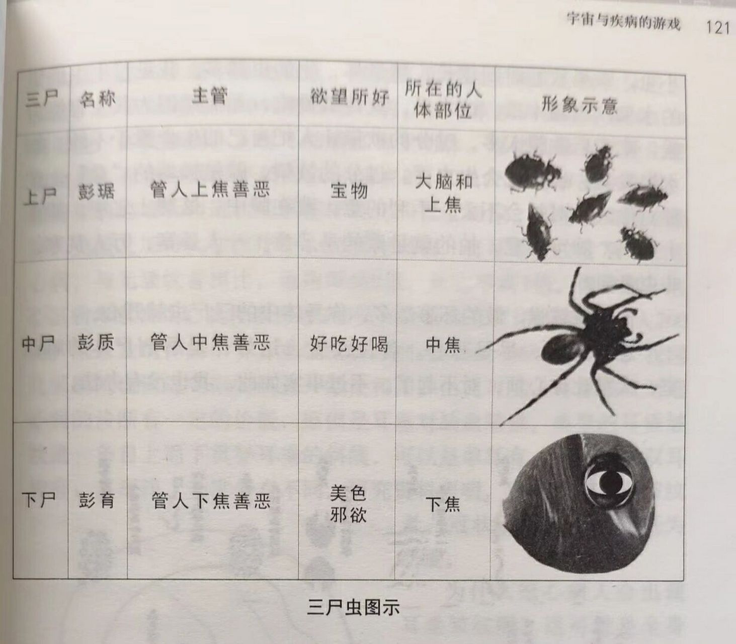欲望越多,无形的寄生虫越多    三尸虫 三尸虫是生活在我们人体的无