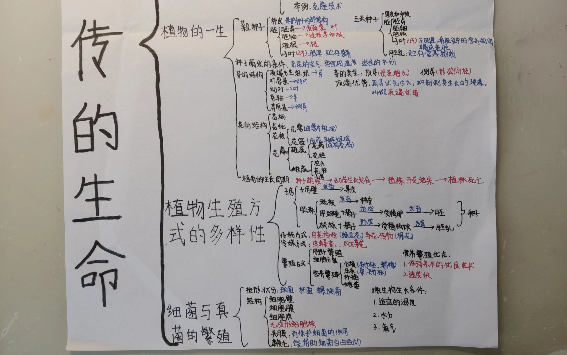 初中科学知识点框架图图片