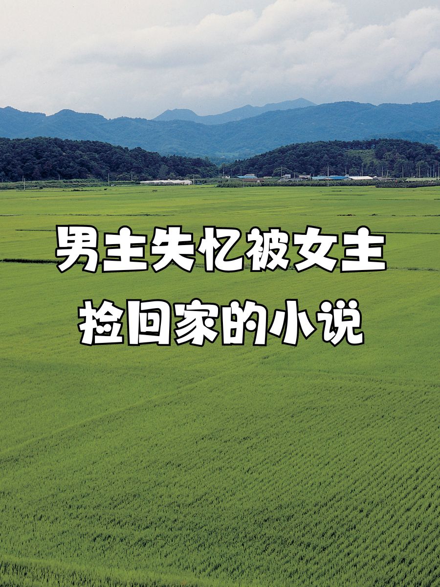男主角一开始失忆的小说