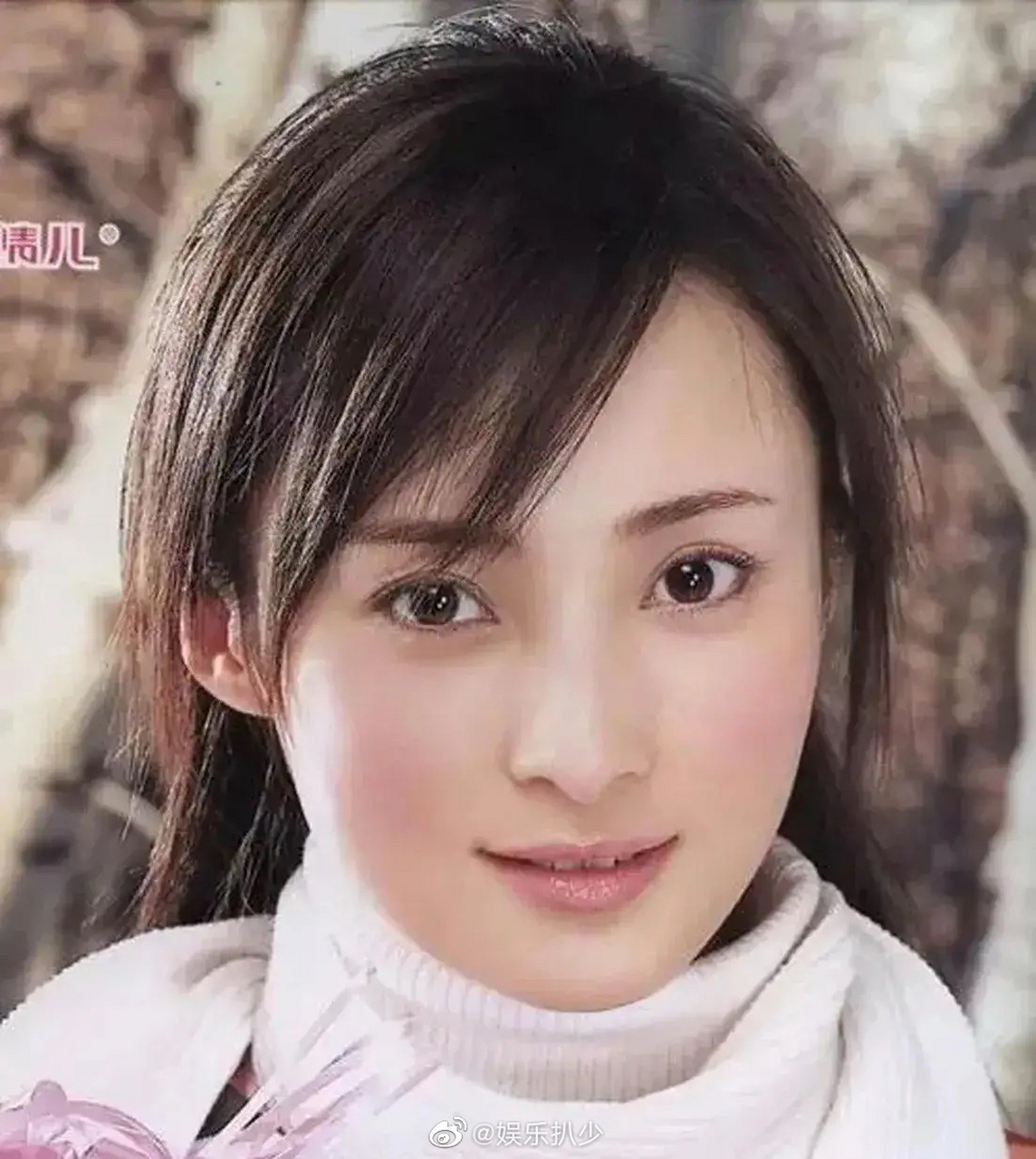 蒋勤勤和孙俪眉眼和脸型都有点像,有些照片要是不说名字还有点分不清