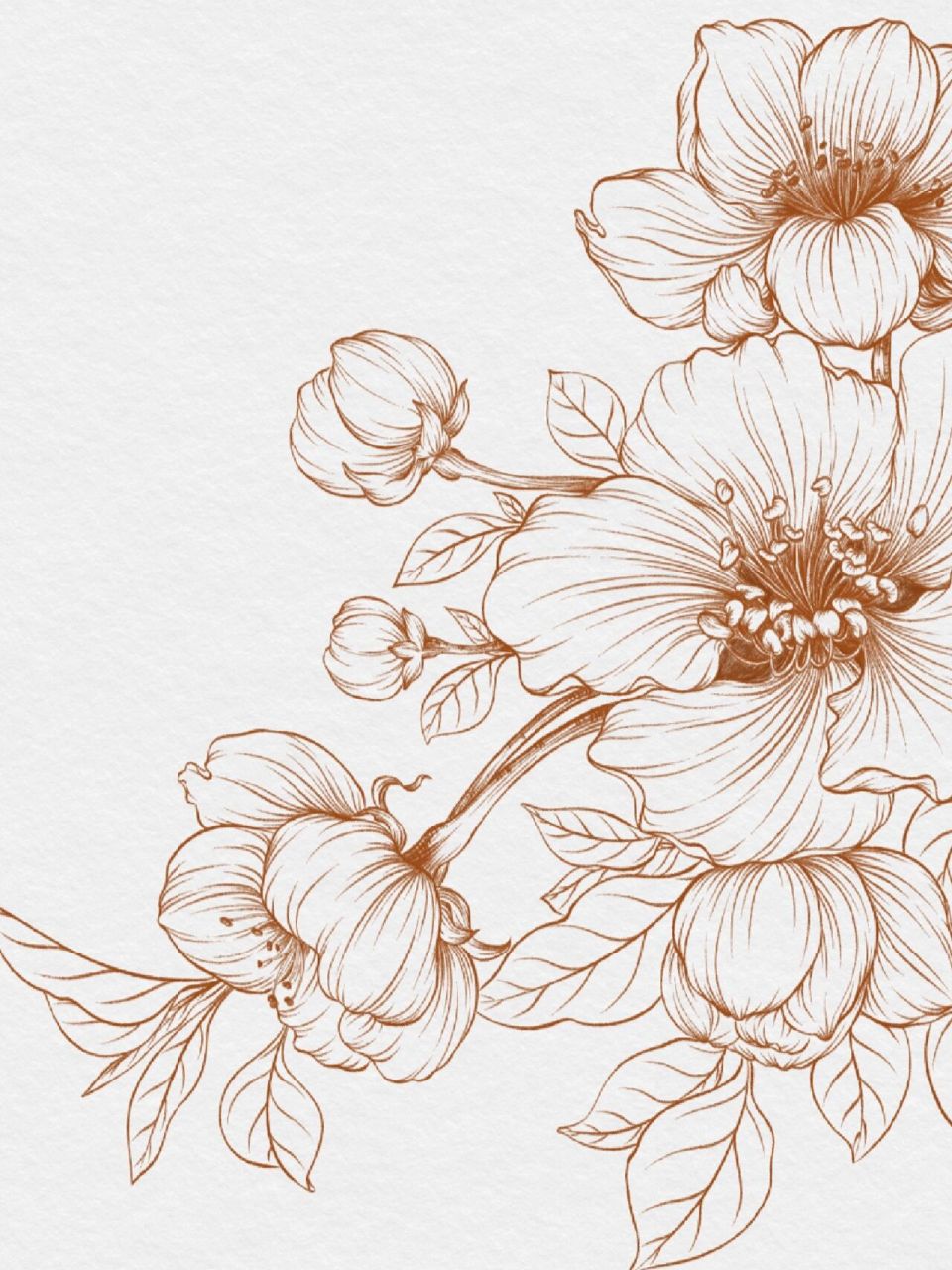 花卉速写『原创』梨花 梨花一直是我心中白月光,一直有执念,一直不敢