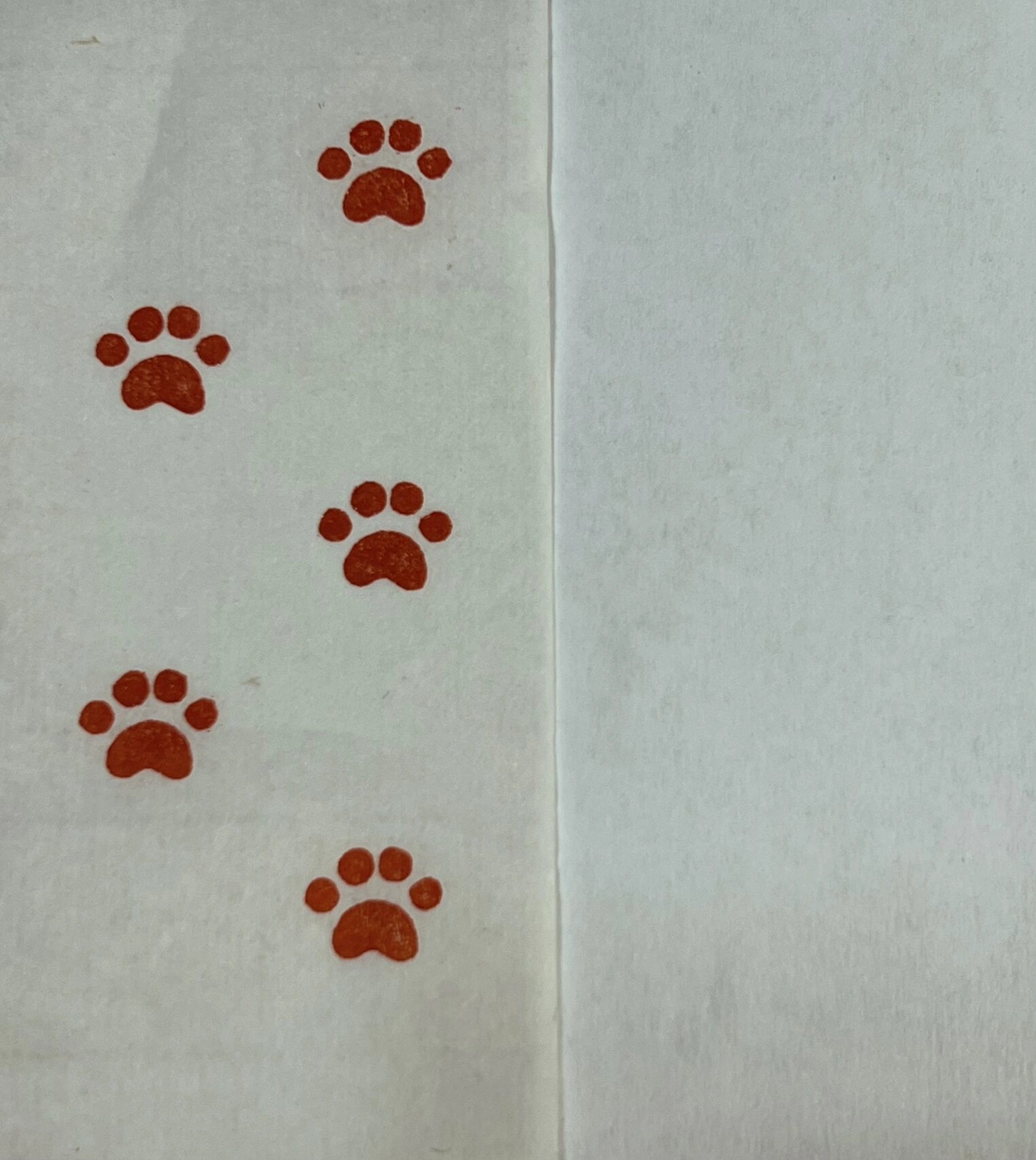 猫爪印章🐈